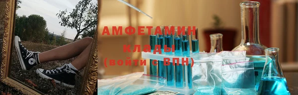 прущие грибы Балахна