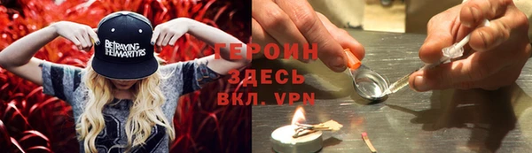 прущие грибы Балахна