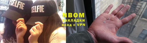 прущие грибы Балахна