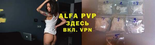 прущие грибы Балахна
