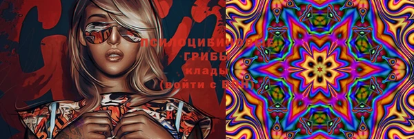 прущие грибы Балахна