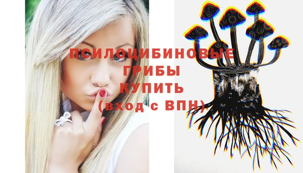 прущие грибы Балахна