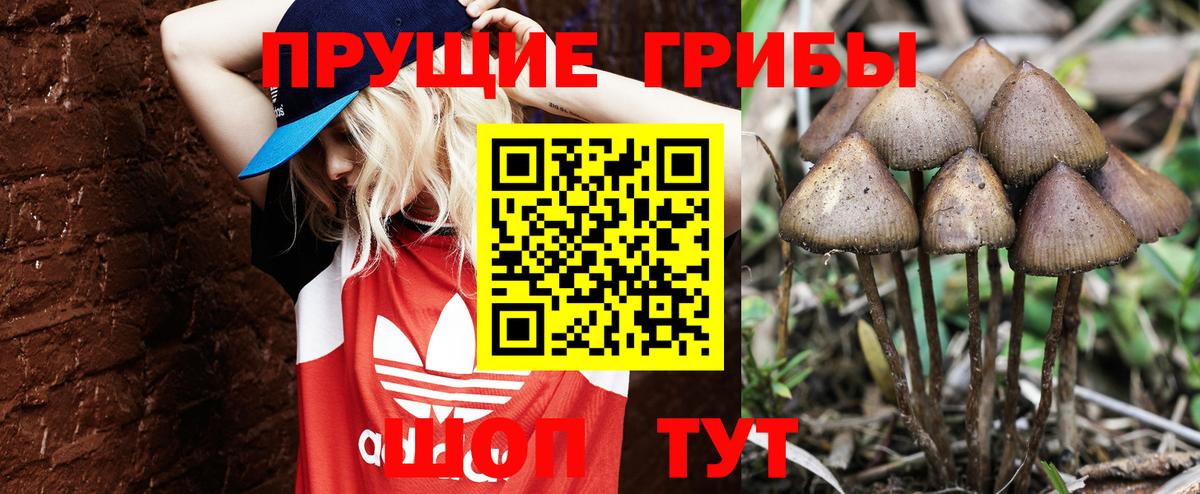 Галлюциногенные грибы мицелий Белогорск